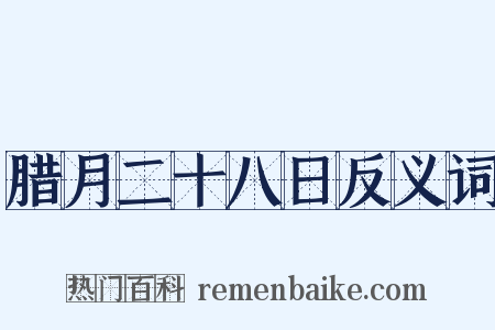 腊月二十八日反义词是什么意思的图片